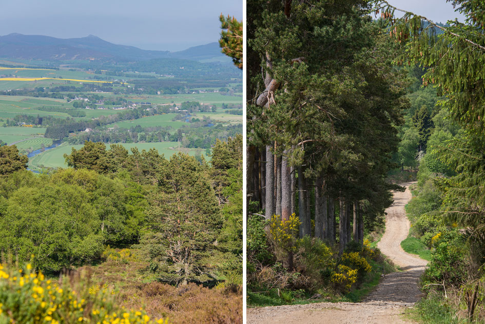 Breda Estate, Scotland